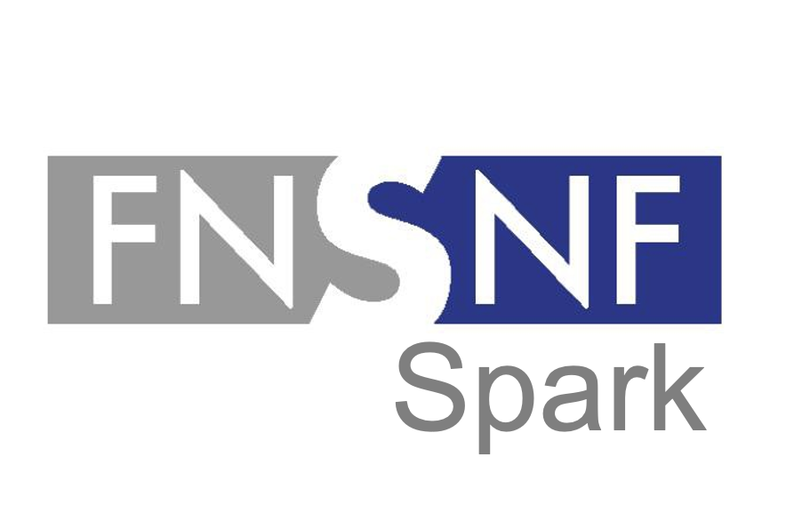 FNSNF Spark